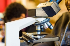 Microscope